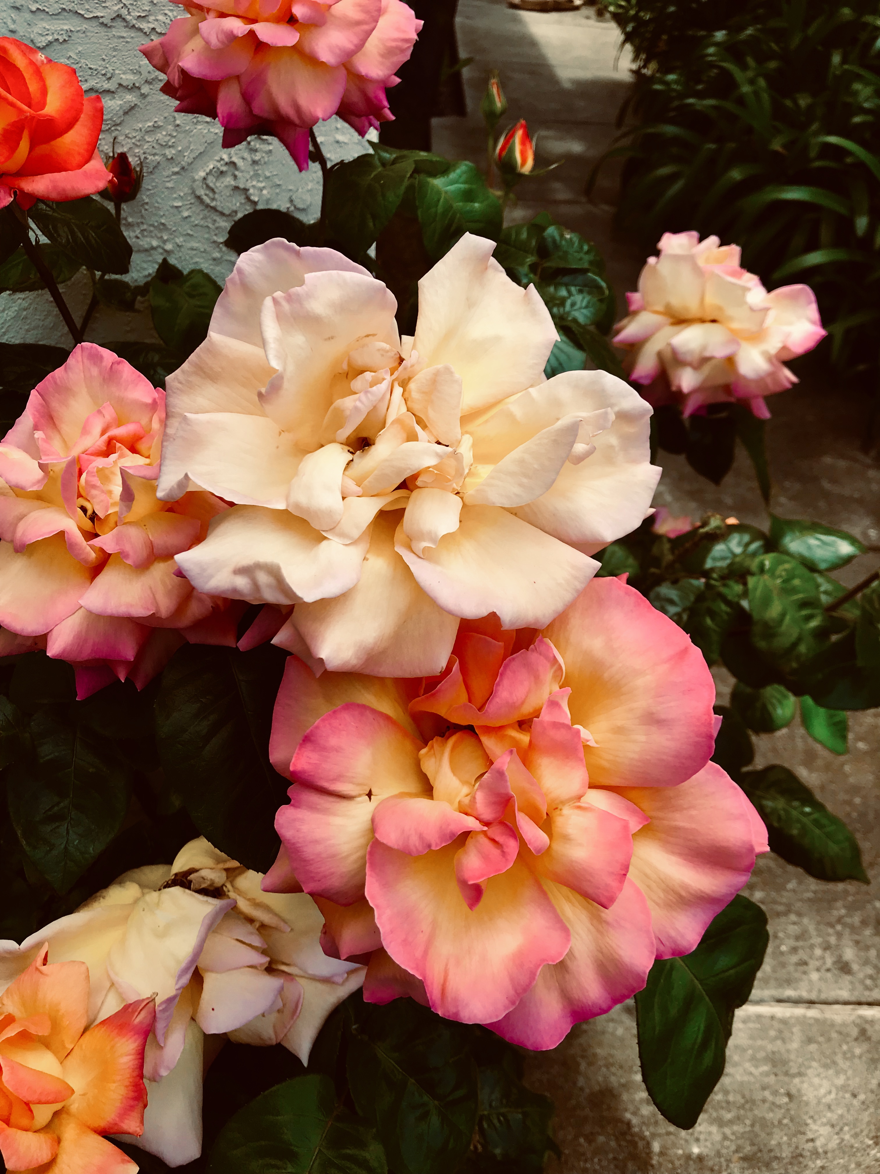Responsive image